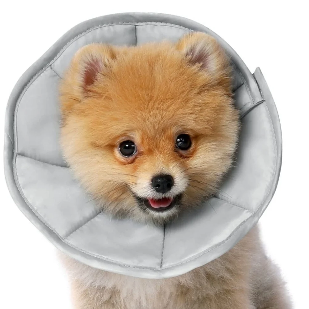 HACHIKITTY Soft Dog Cone For After Surgery Adjustable Gray Size XL